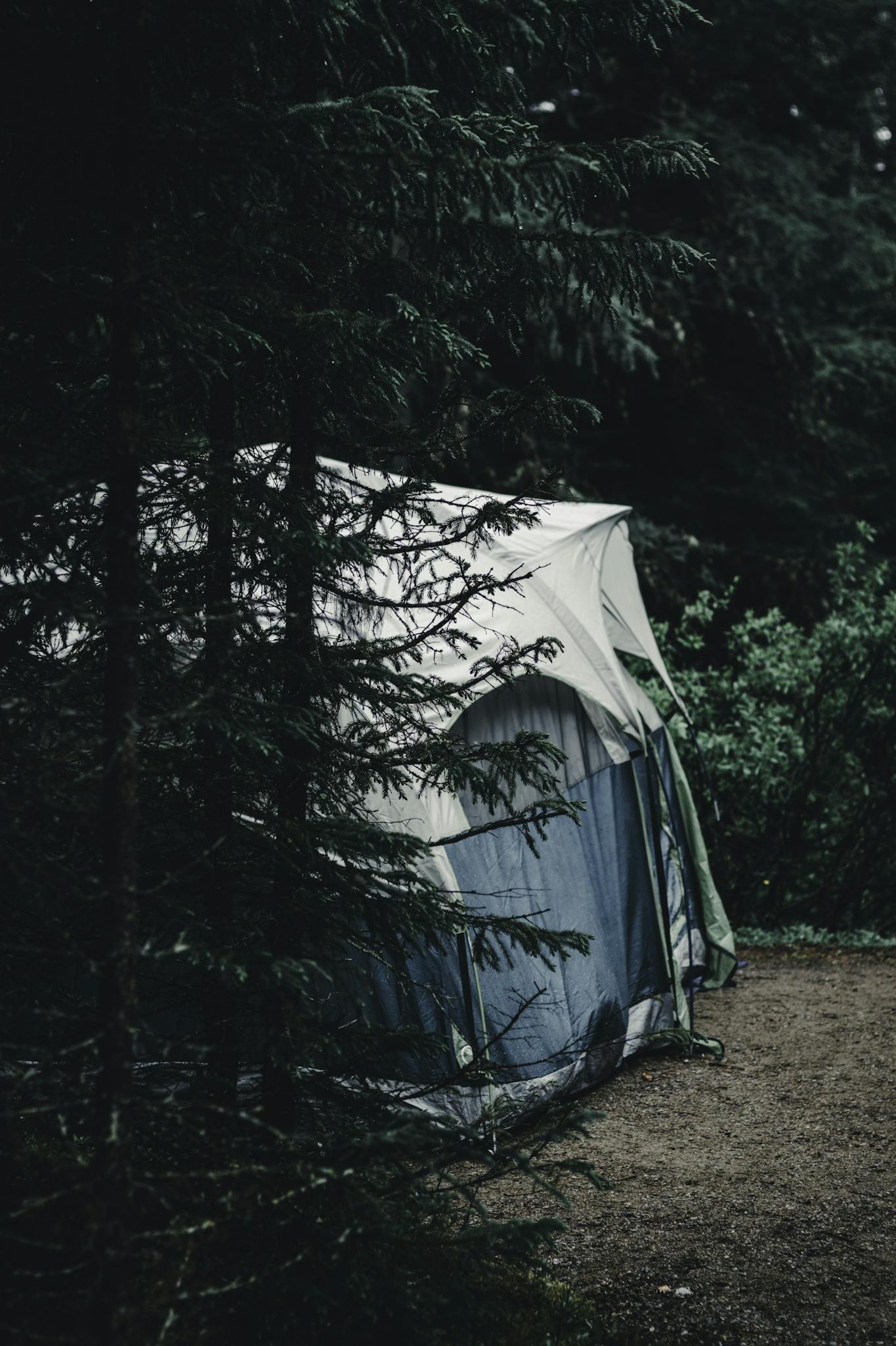 Explore the tranquility of camping in a forest tent in Gaspé, Quebec, surrounded by lush greenery.